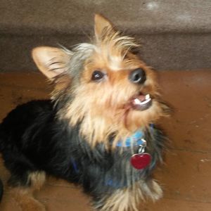 Meet your Posher, Carol